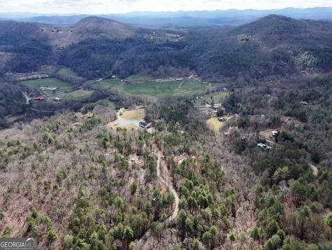 Lt 45a Synacia Drive Mineral Bluff GA 30559