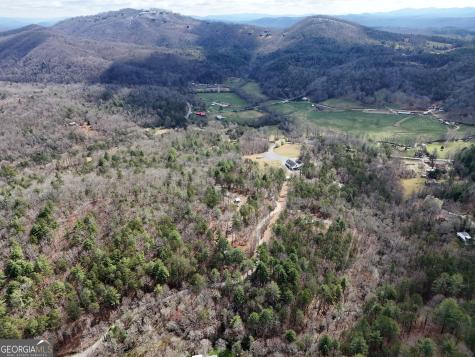 Lt 45a Synacia Drive Mineral Bluff GA 30559