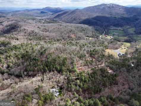 Lt 45a Synacia Drive Mineral Bluff GA 30559
