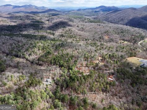 Lt 45a Synacia Drive Mineral Bluff GA 30559
