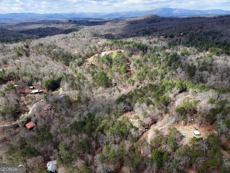 Lt 45a Synacia Drive Mineral Bluff GA 30559