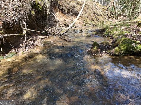 Lt 45a Synacia Drive Mineral Bluff GA 30559