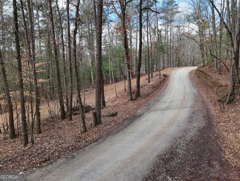 Lt 45a Synacia Drive Mineral Bluff GA 30559