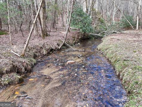 Lt 45a Synacia Drive Mineral Bluff GA 30559