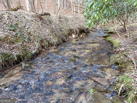 Lt 45a Synacia Drive Mineral Bluff GA 30559