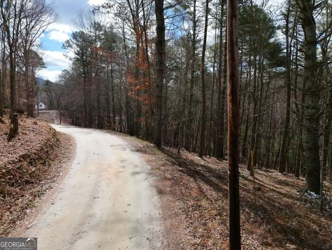 Lt 45a Synacia Drive Mineral Bluff GA 30559