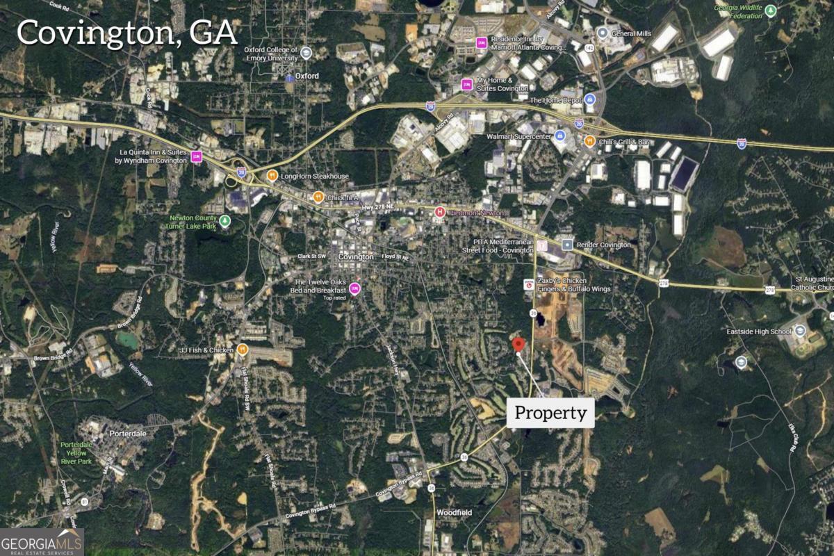 9141 Golfview Lane Covington GA 30014
