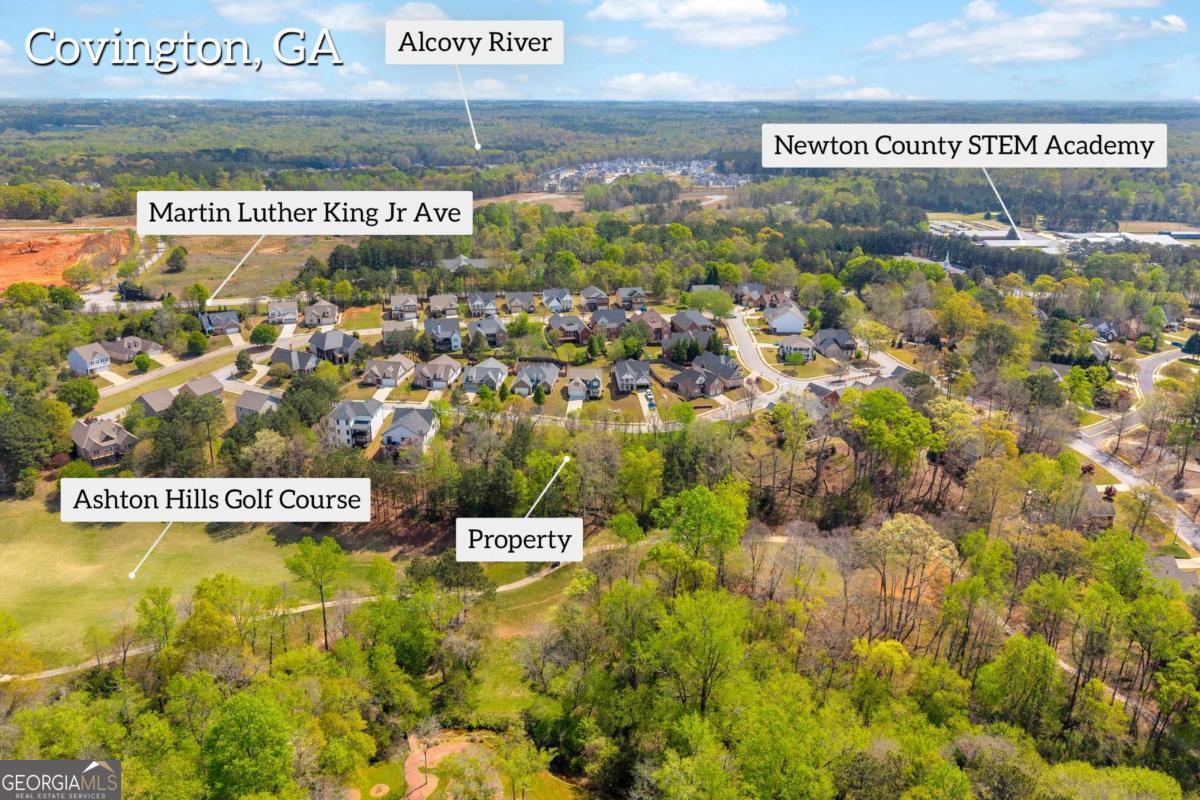 9141 Golfview Lane Covington GA 30014