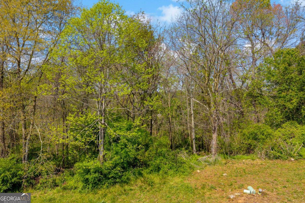 9141 Golfview Lane Covington GA 30014