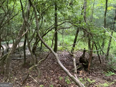 0 Skylake And Wheeler Ridge Road Sautee Nacoochee GA 30571