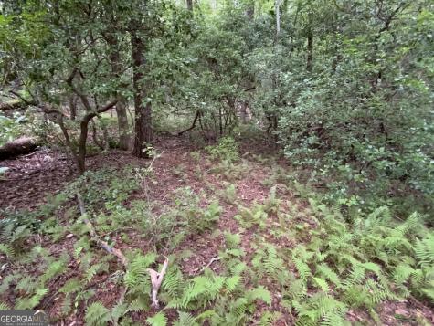 0 Skylake And Wheeler Ridge Road Sautee Nacoochee GA 30571
