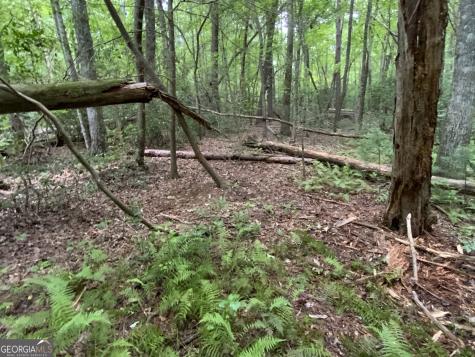0 Skylake And Wheeler Ridge Road Sautee Nacoochee GA 30571