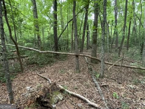 0 Skylake And Wheeler Ridge Road Sautee Nacoochee GA 30571