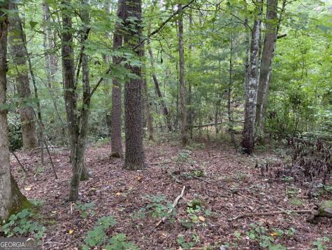 0 Skylake And Wheeler Ridge Road Sautee Nacoochee GA 30571