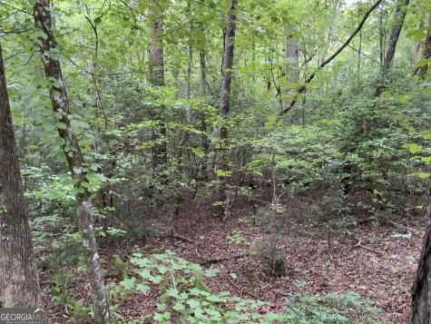 0 Skylake And Wheeler Ridge Road Sautee Nacoochee GA 30571