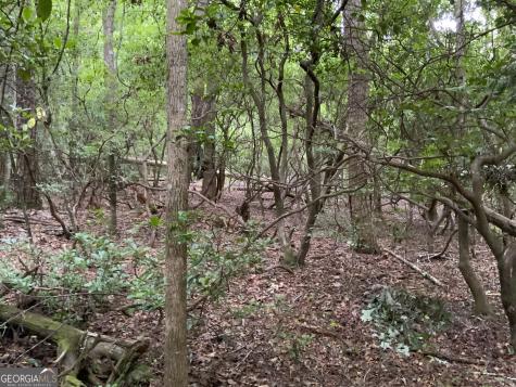 0 Skylake And Wheeler Ridge Road Sautee Nacoochee GA 30571