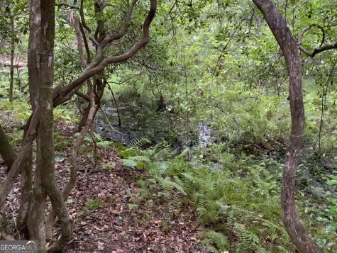 0 Skylake And Wheeler Ridge Road Sautee Nacoochee GA 30571