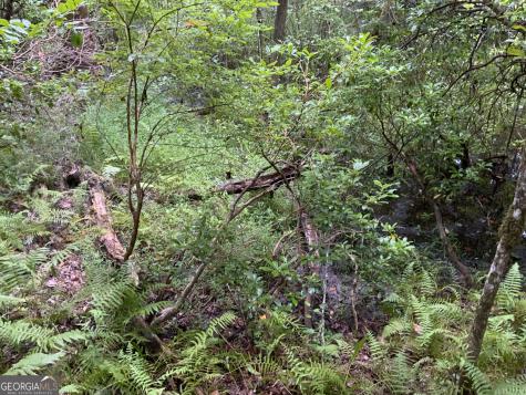 0 Skylake And Wheeler Ridge Road Sautee Nacoochee GA 30571