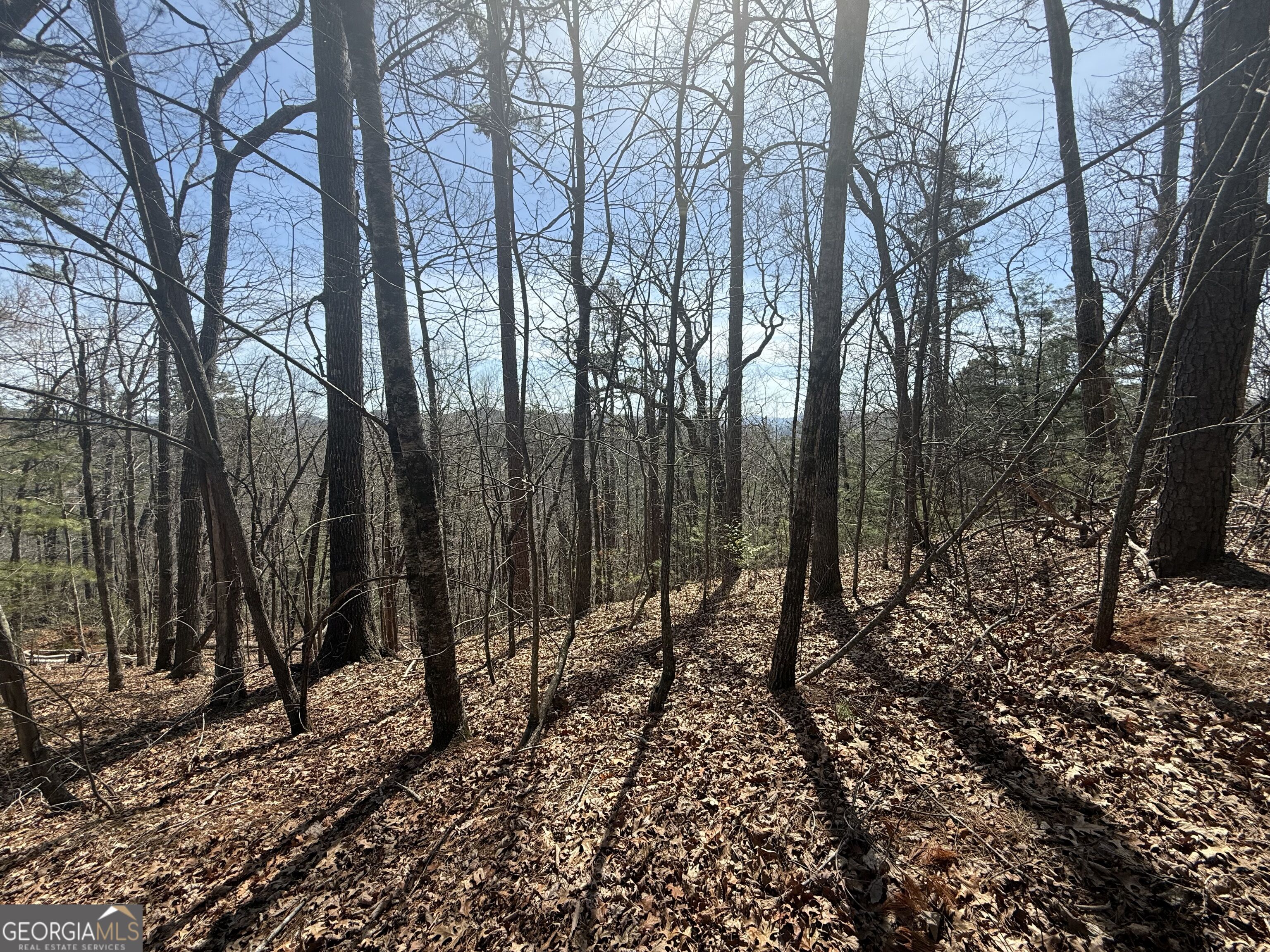 Tract 3a Big View Lane Clayton GA 30525