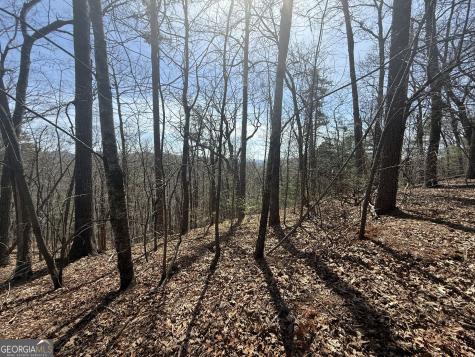Tract 3a Big View Lane Clayton GA 30525