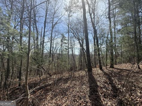 Tract 3a Big View Lane Clayton GA 30525