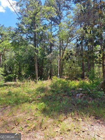 608 Bass Road Reidsville GA 30453