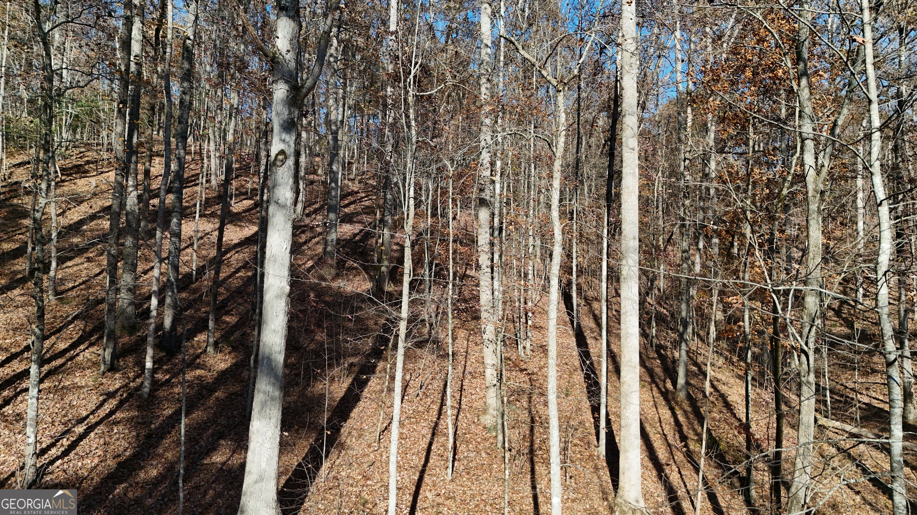 Lot 198 Northshore Drive Cleveland GA 30528