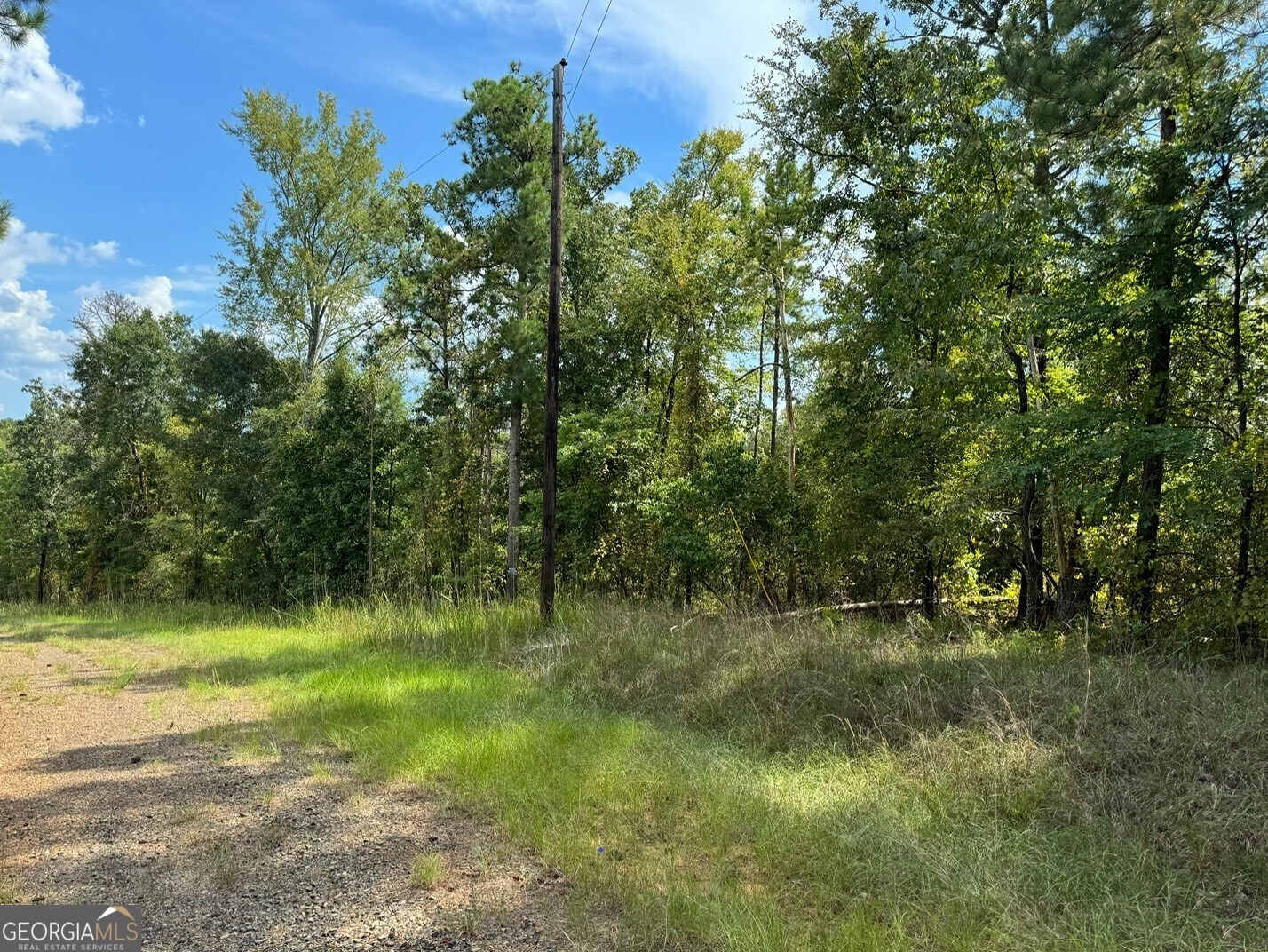 0 Day Lilly Lane Sparta GA 31087
