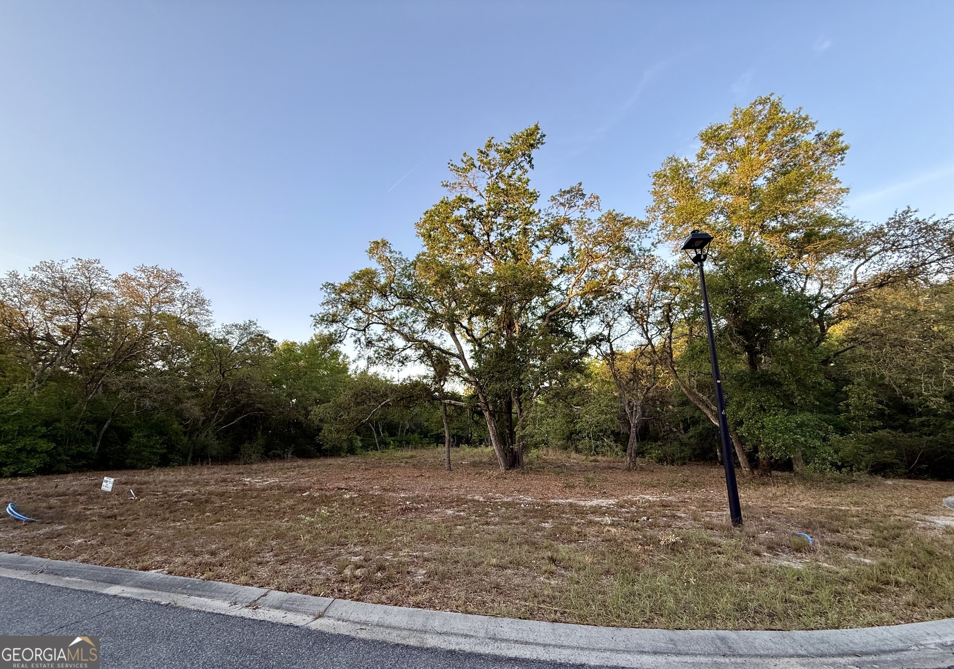 6005 & 6007 Tree Top Lane Blackshear GA 31516