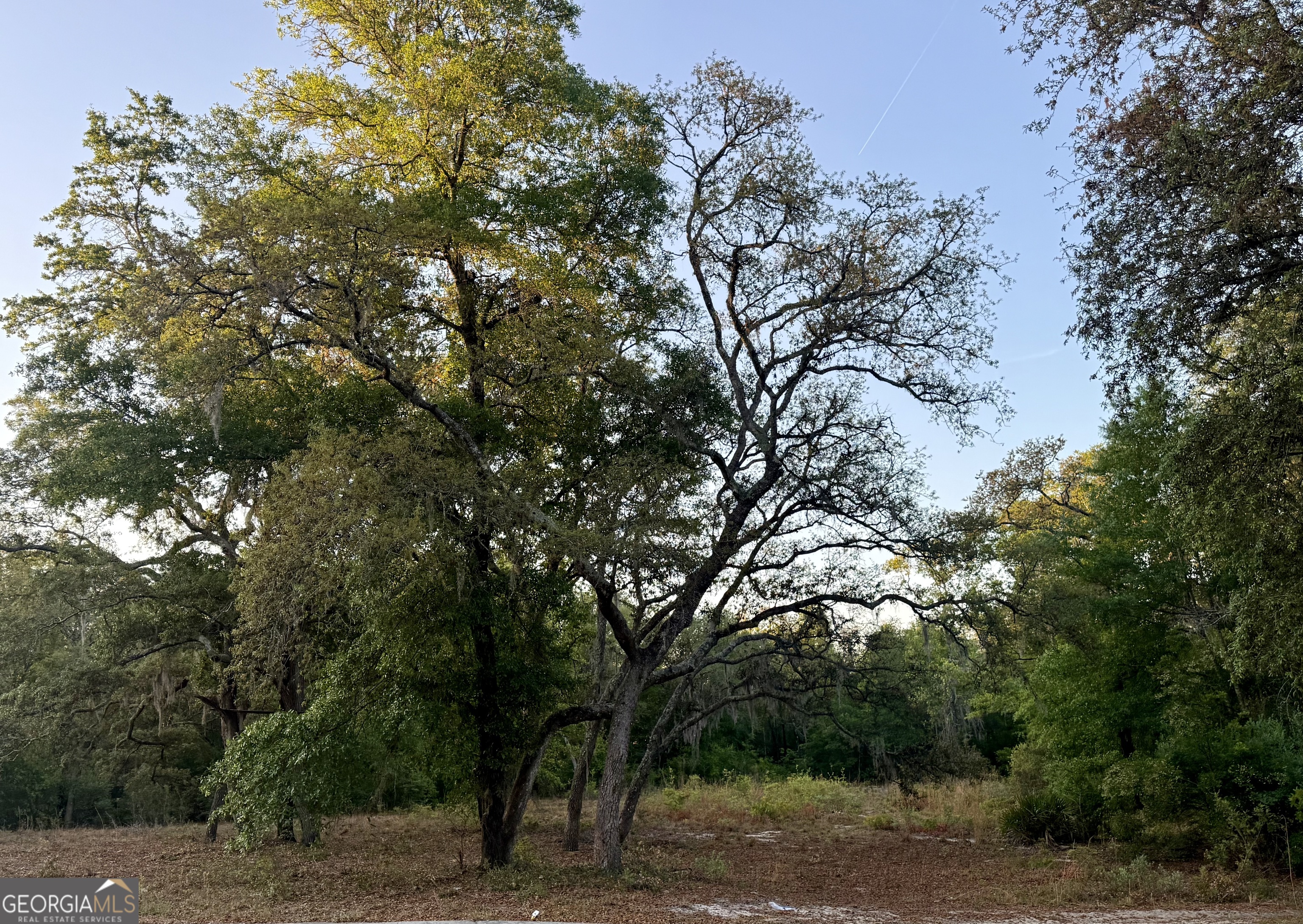 6005 & 6007 Tree Top Lane Blackshear GA 31516
