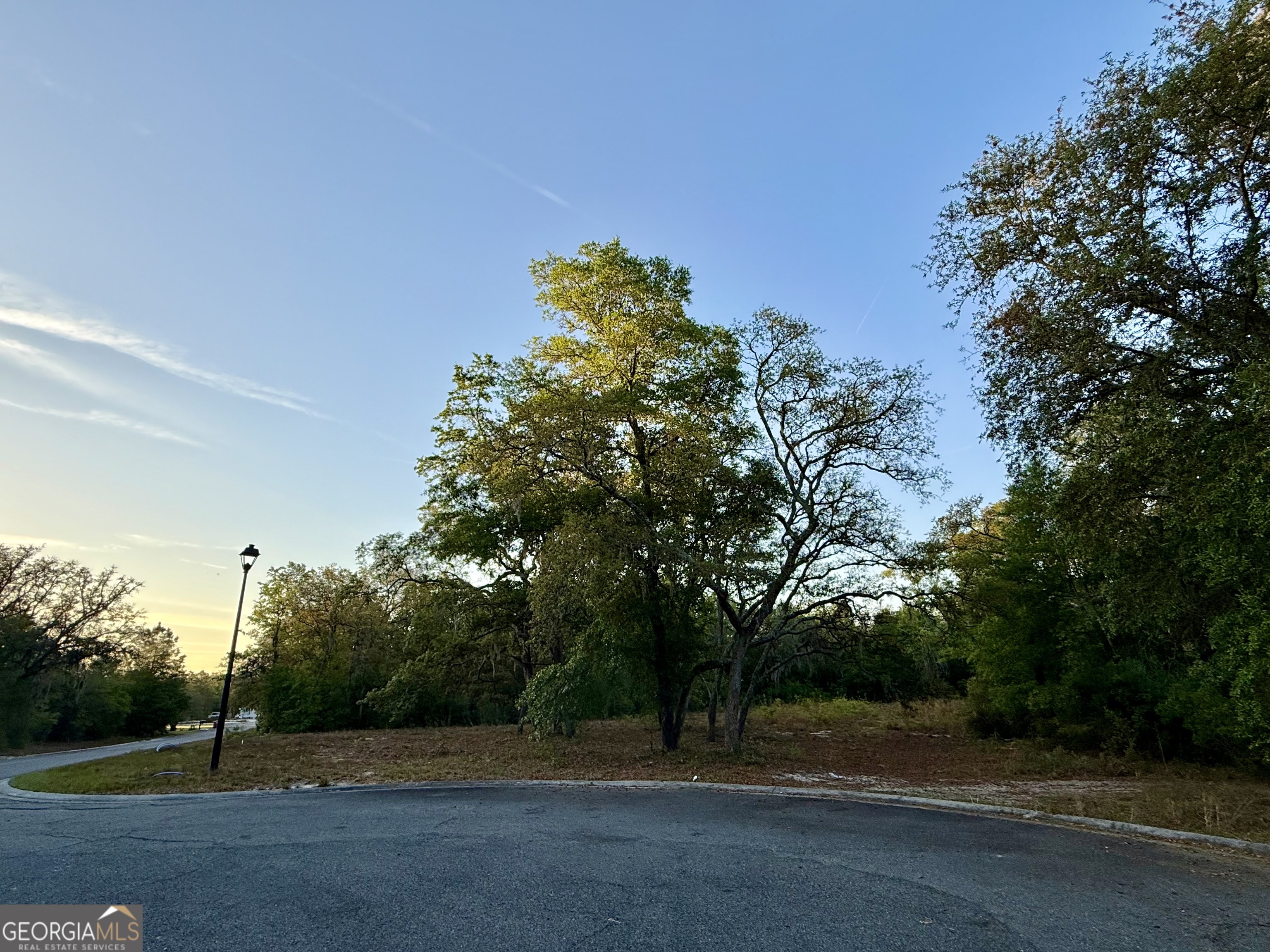 6005 & 6007 Tree Top Lane Blackshear GA 31516