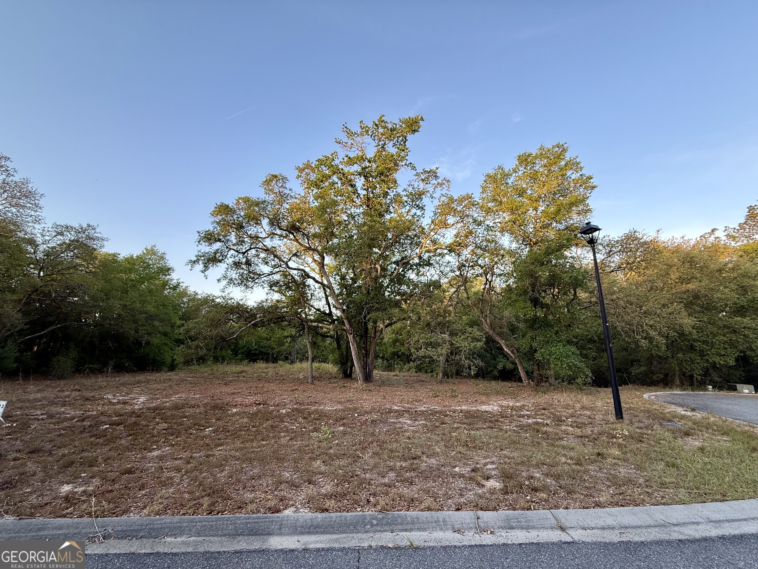 6005 & 6007 Tree Top Lane Blackshear GA 31516