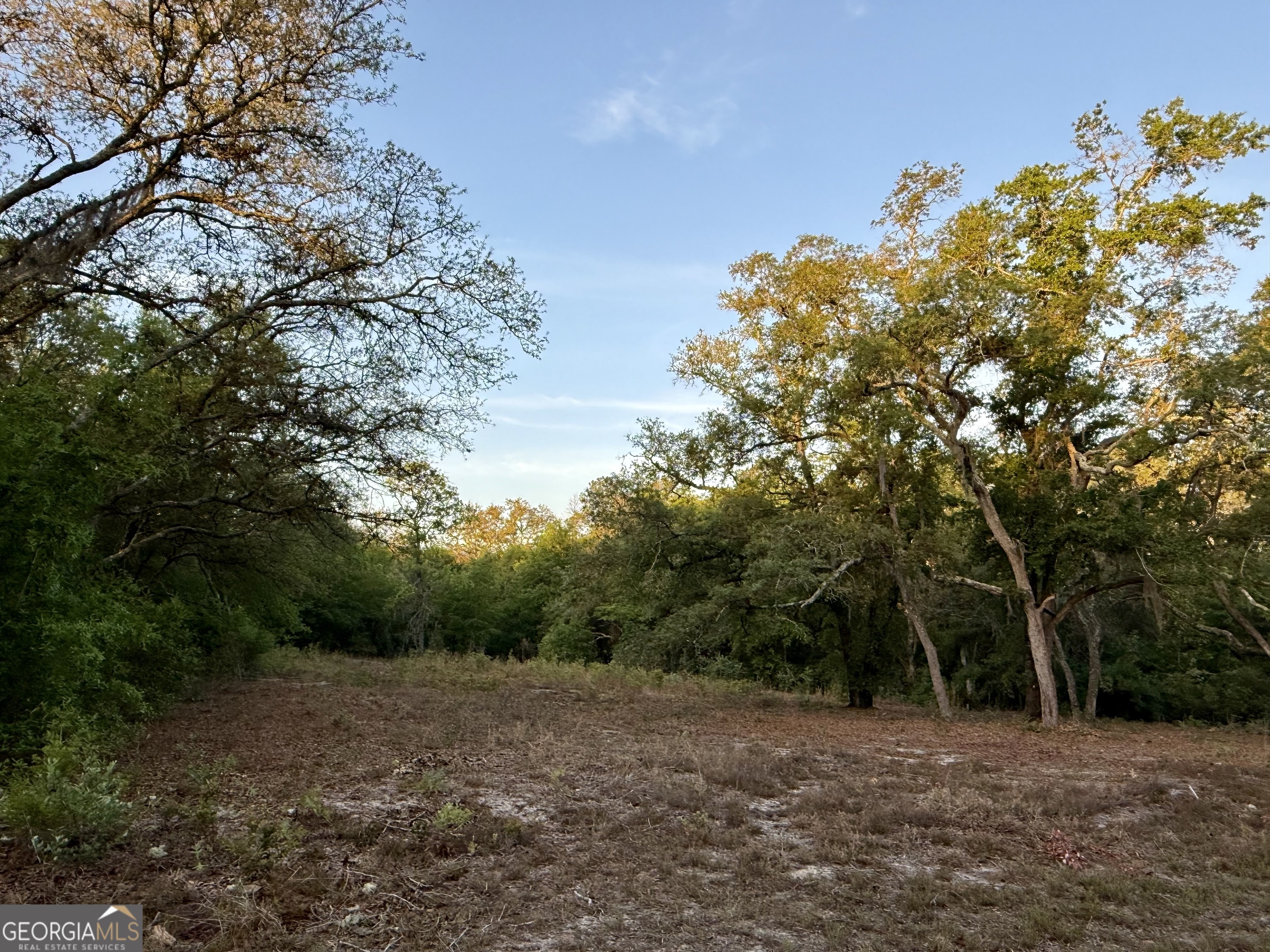 6005 & 6007 Tree Top Lane Blackshear GA 31516