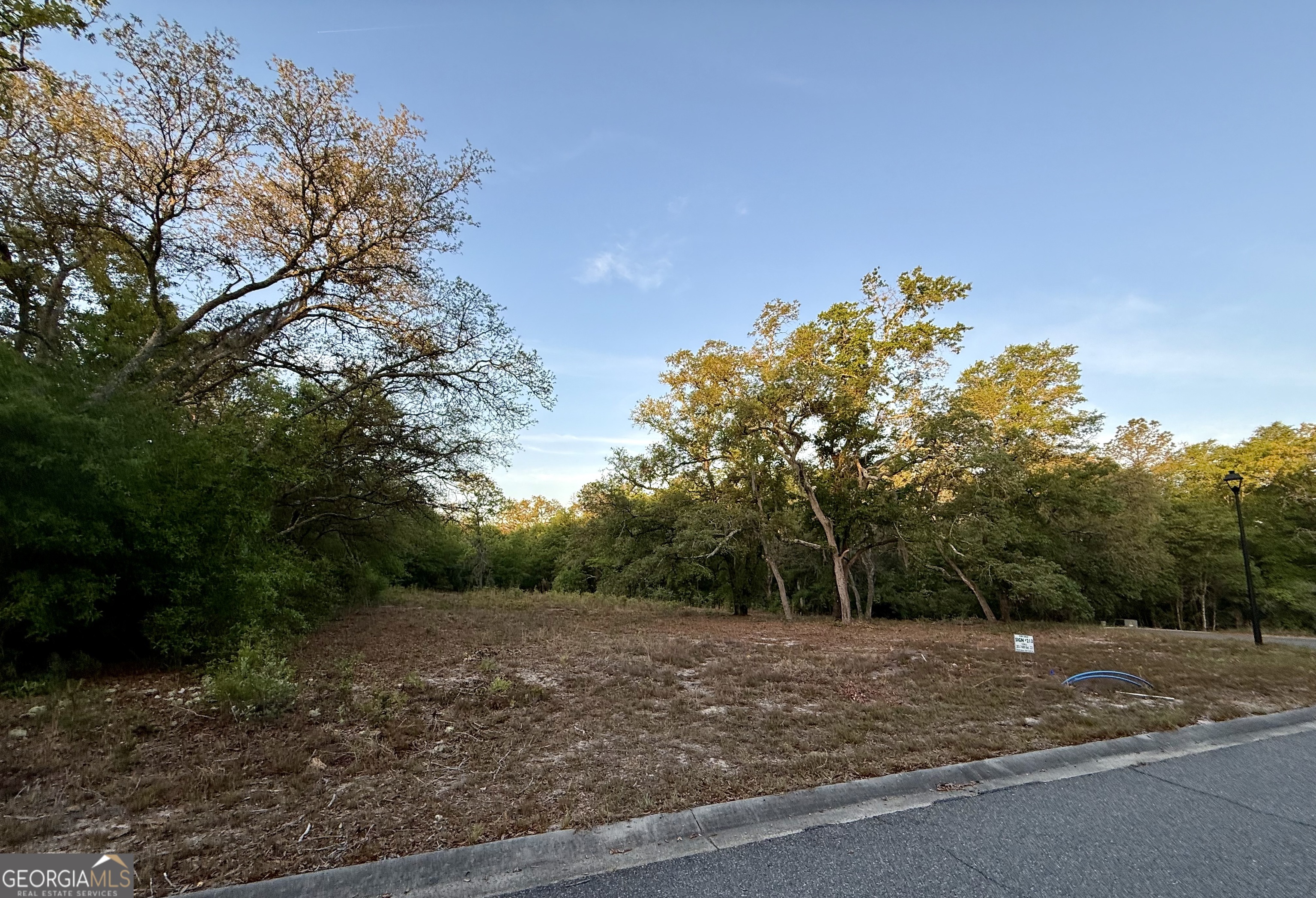 6005 & 6007 Tree Top Lane Blackshear GA 31516