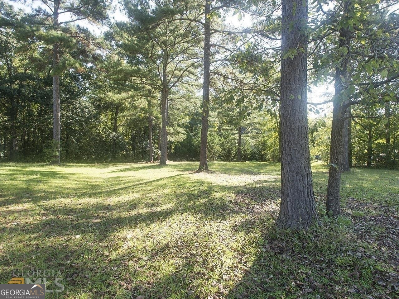 0 Old Conyers Road Stockbridge GA 30281