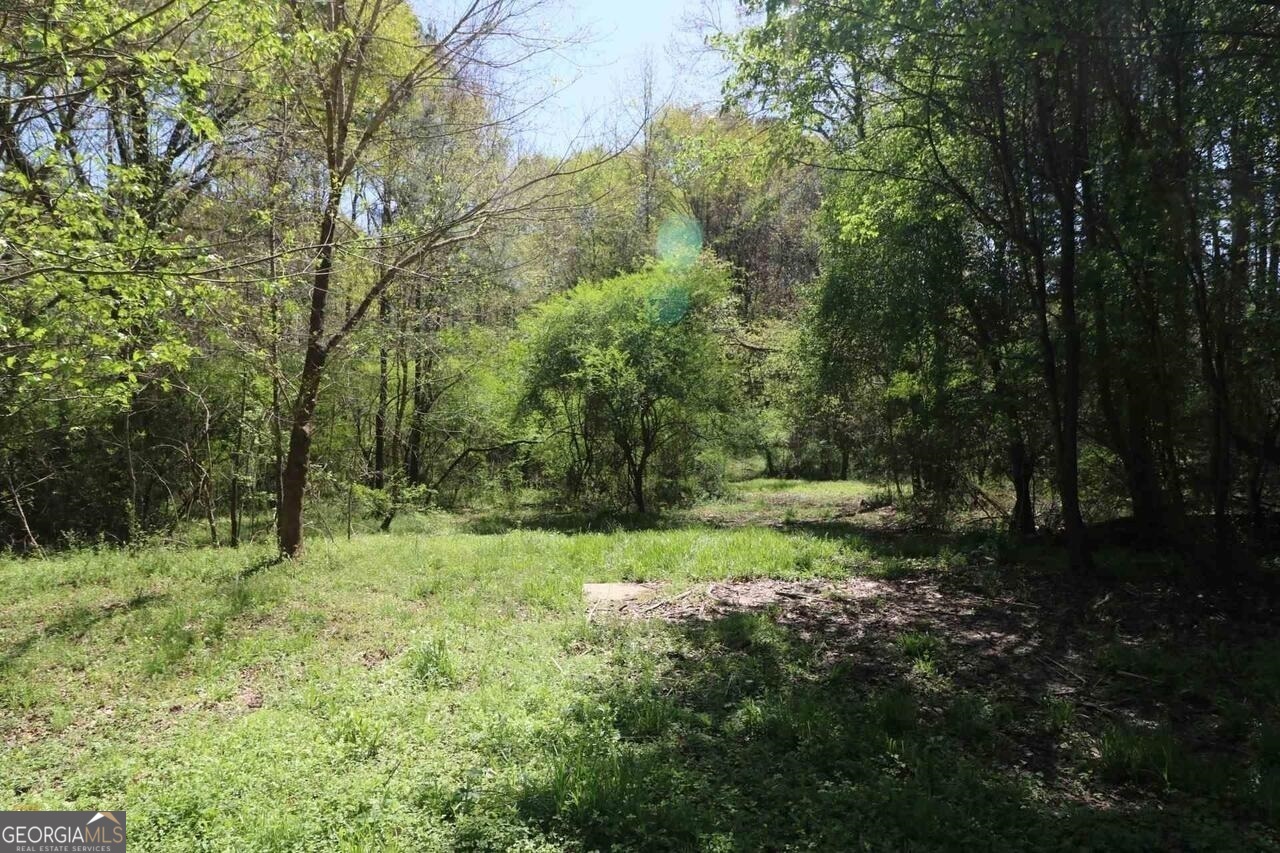 0 Old Conyers Road Stockbridge GA 30281