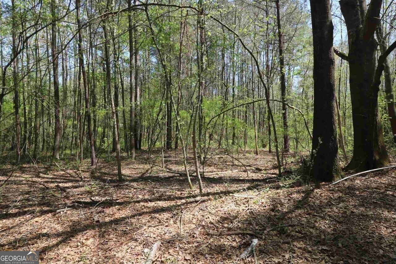 0 Old Conyers Road Stockbridge GA 30281