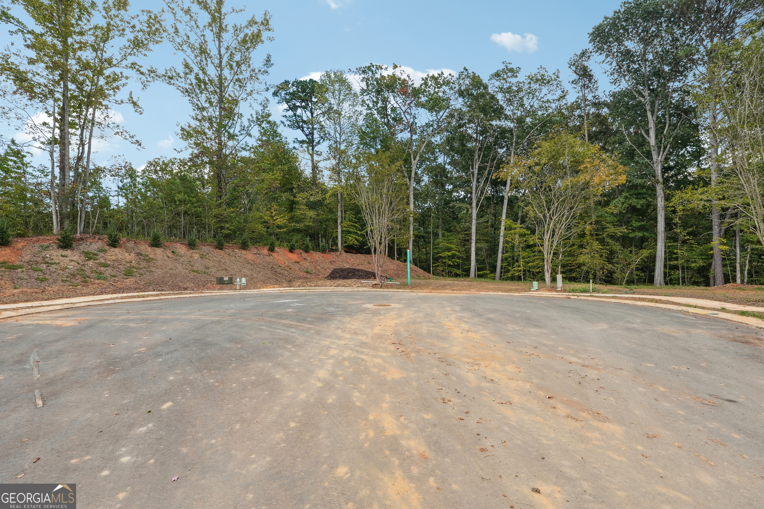 4410 Natchez Lane Cumming GA 30040