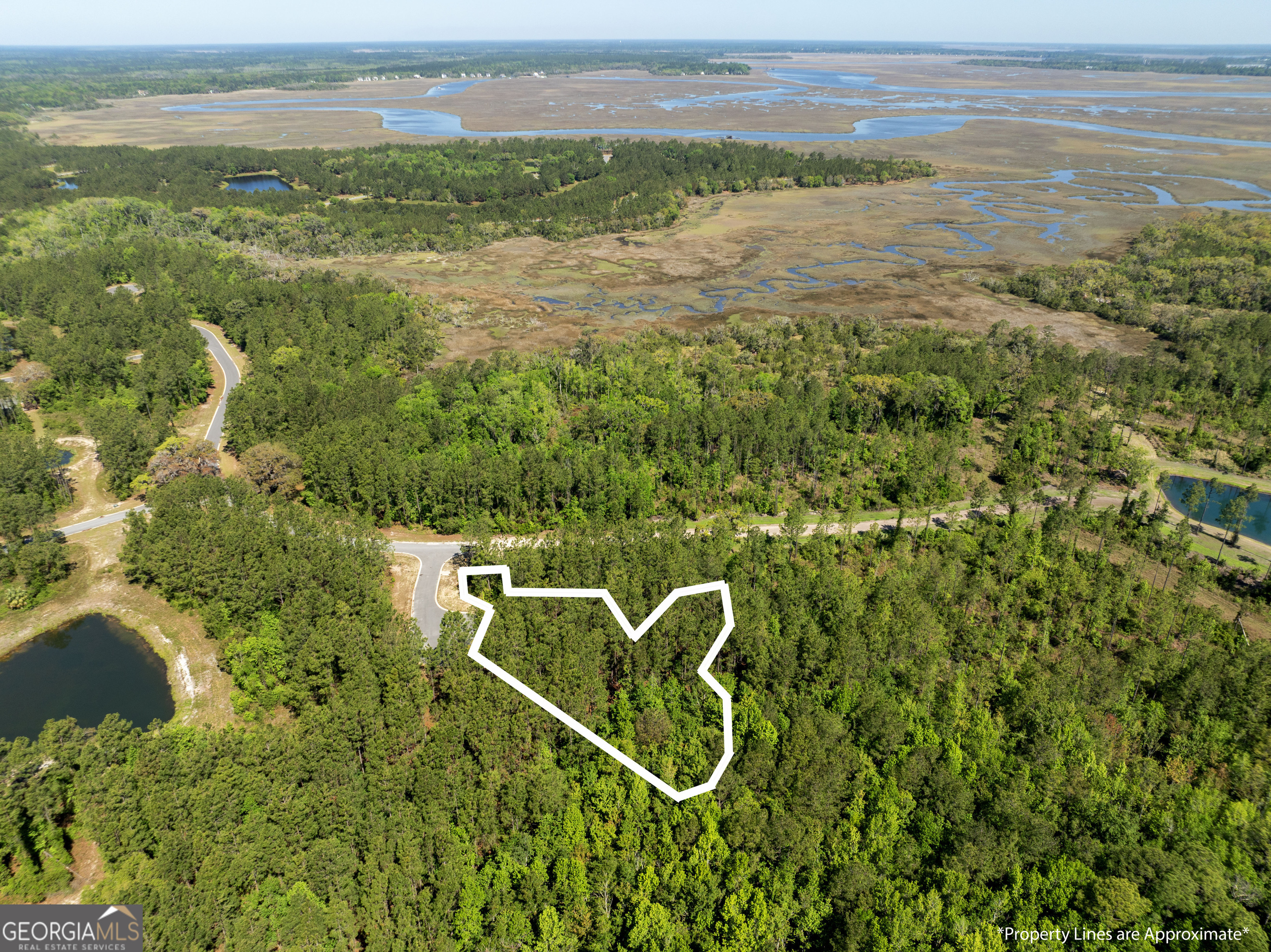 Lot 221 Clam Creek Waverly GA 31565