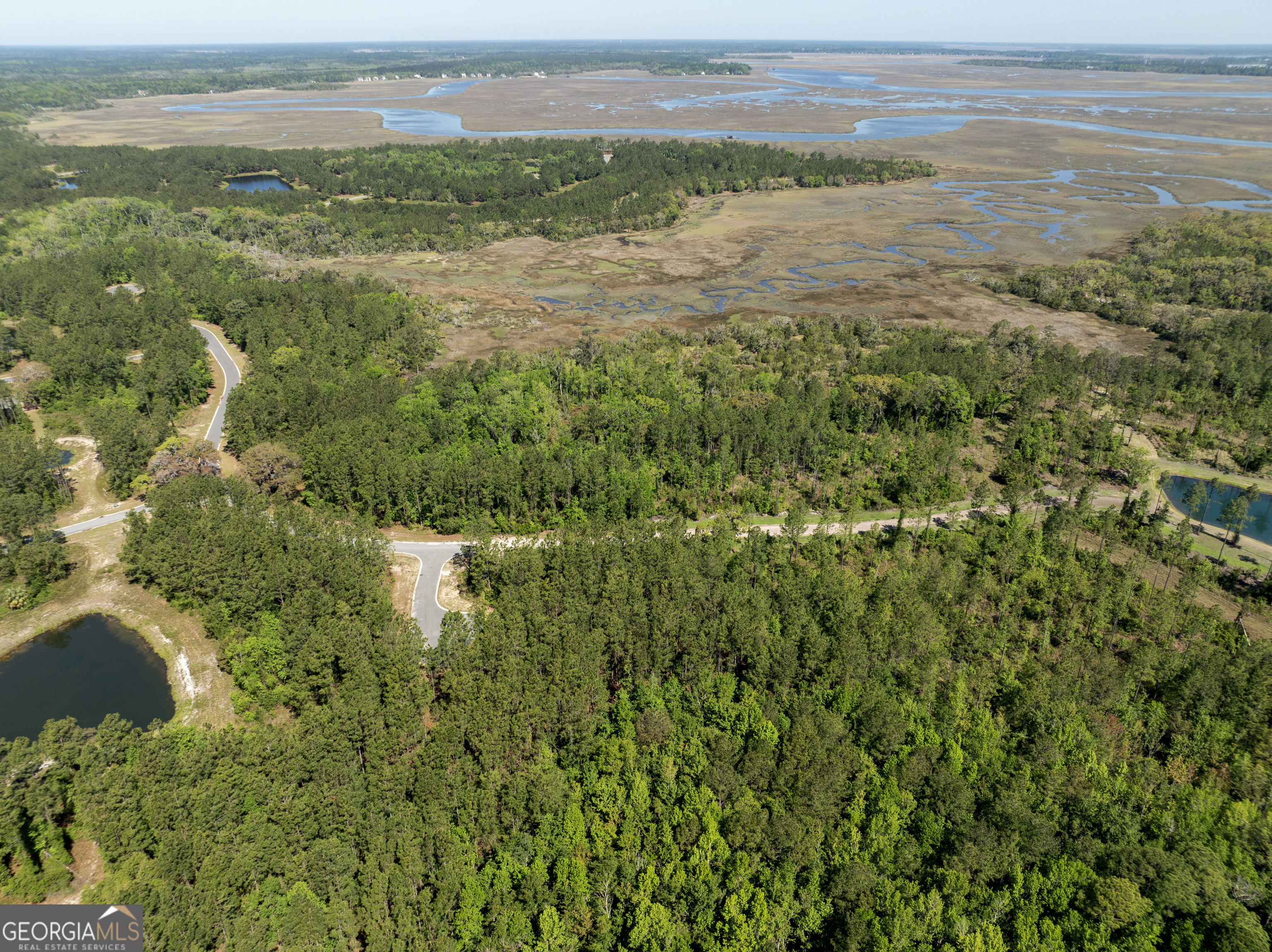 Lot 221 Clam Creek Waverly GA 31565