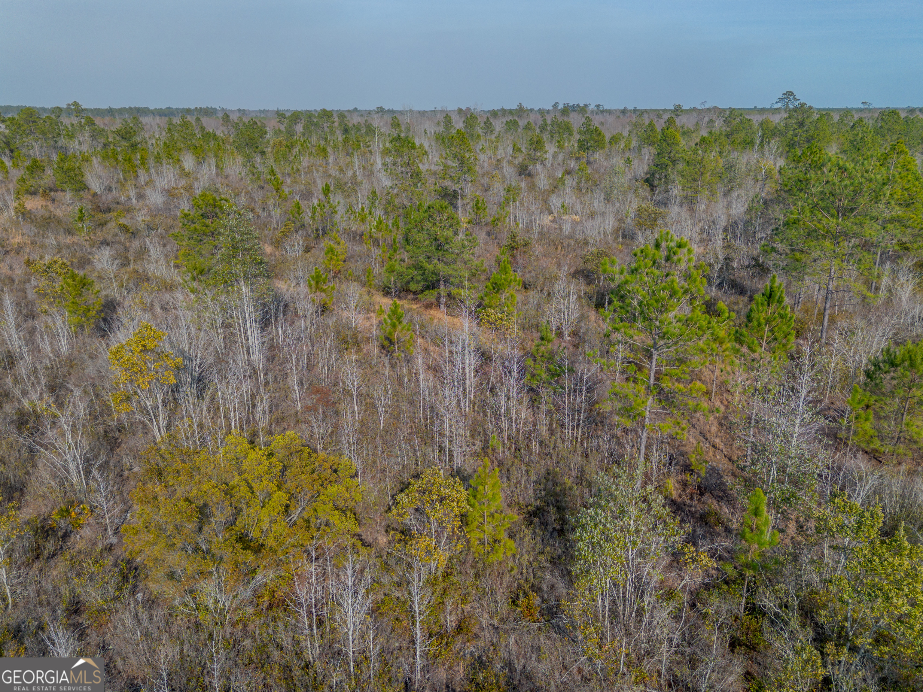 0 Banner Road Waycross GA 31503