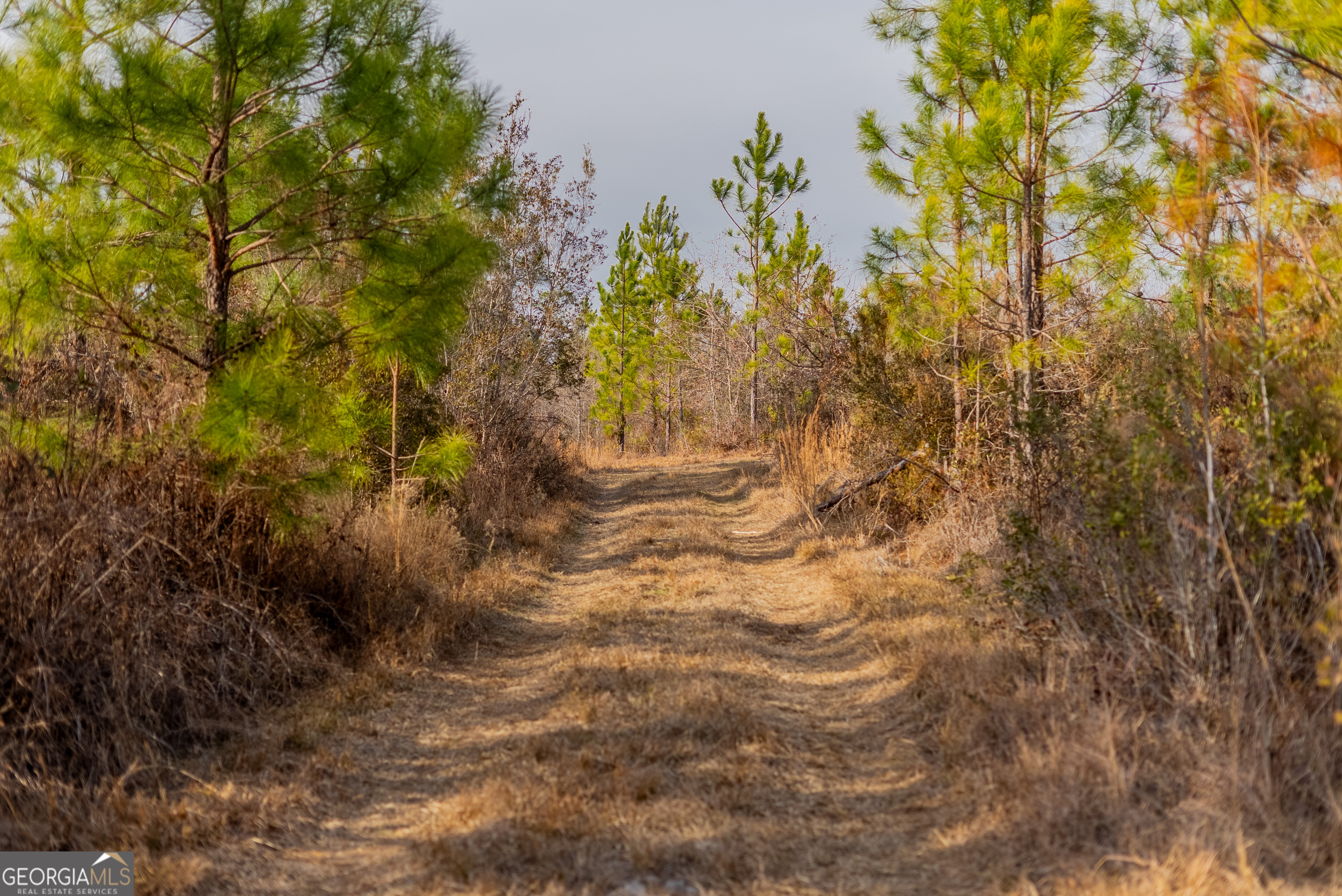 0 Banner Road Waycross GA 31503