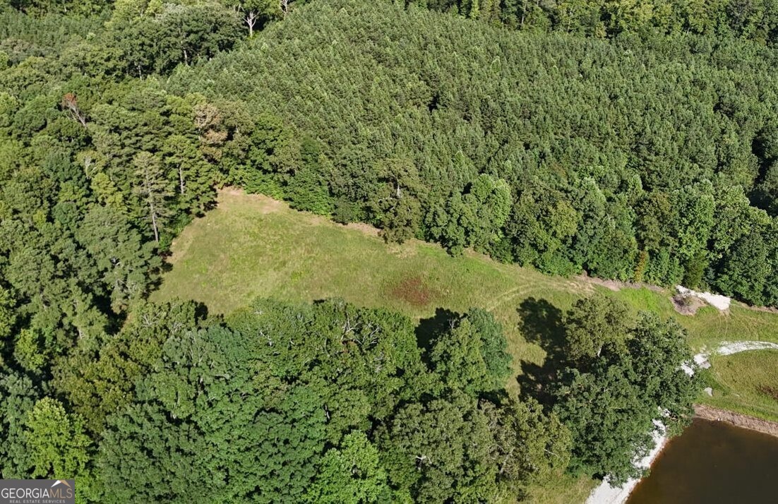 Lot 1 Snote Jones Road Dallas GA 30132