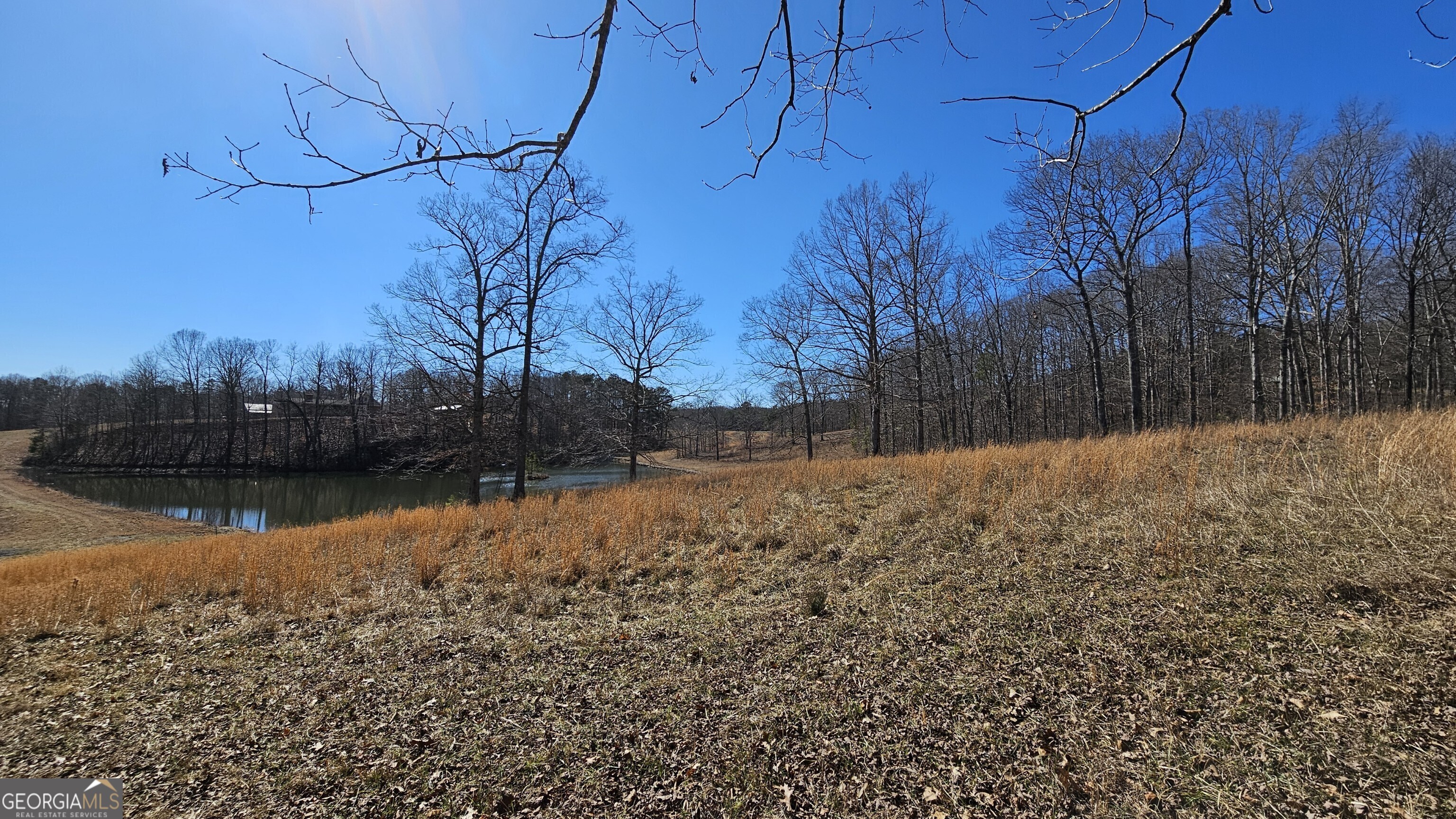 Lot 1 Snote Jones Road Dallas GA 30132