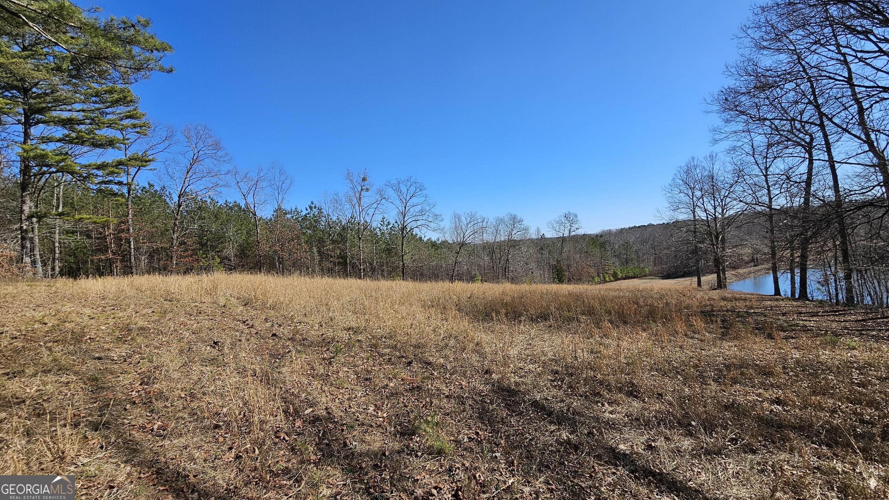 Lot 1 Snote Jones Road Dallas GA 30132