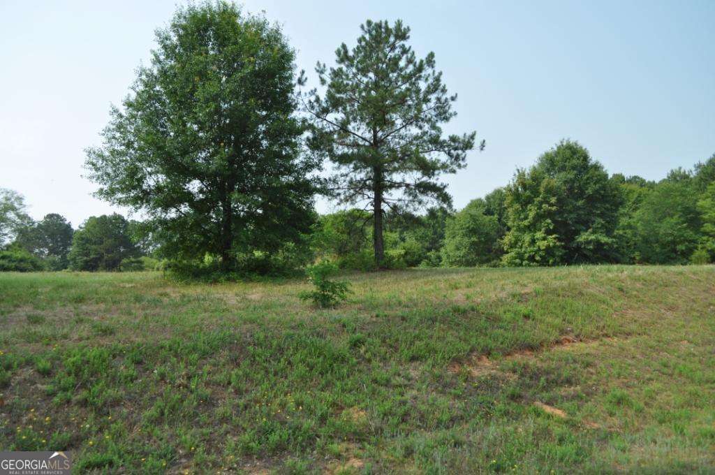 535 Penny Lane Loganville GA 30052