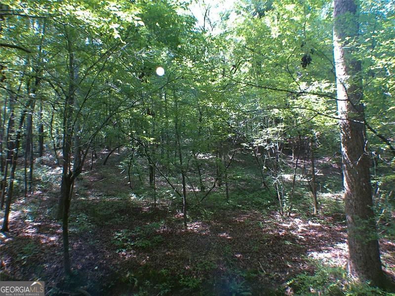 0 Briarpatch Drive Covington GA 30014