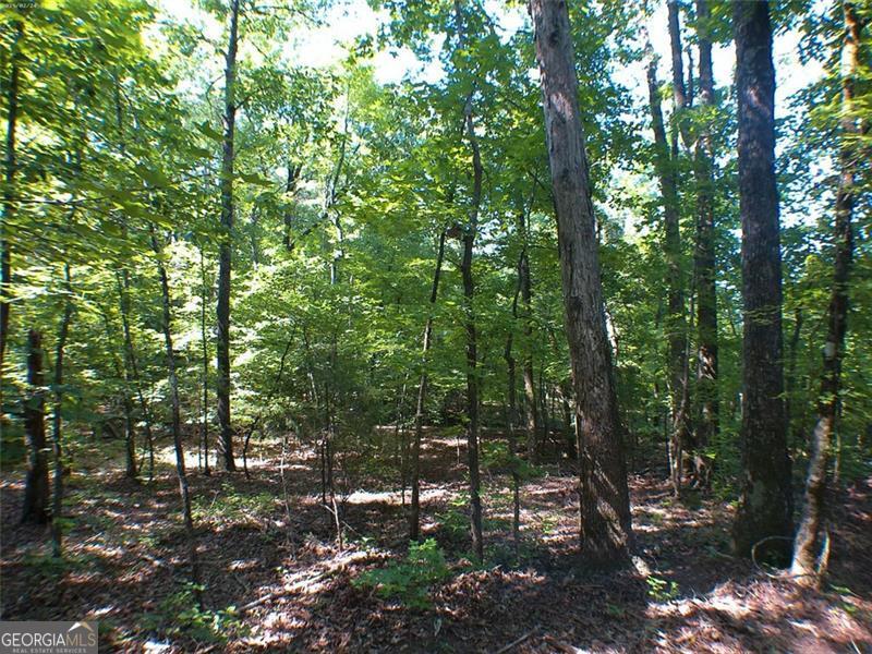 0 Briarpatch Drive Covington GA 30014