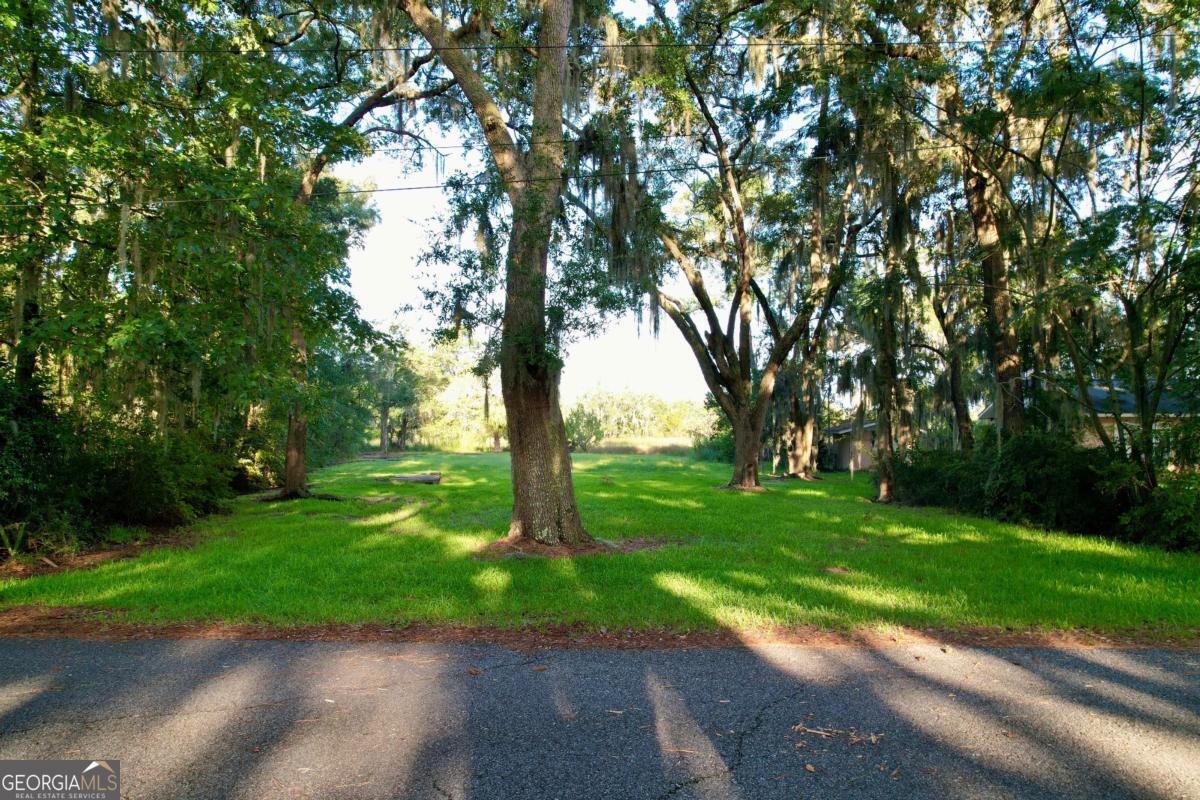 Lot 2 Oak Island Drive Midway GA 31320