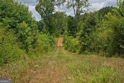 47 Askin Place Culloden GA 31016